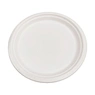 disposable paper plates